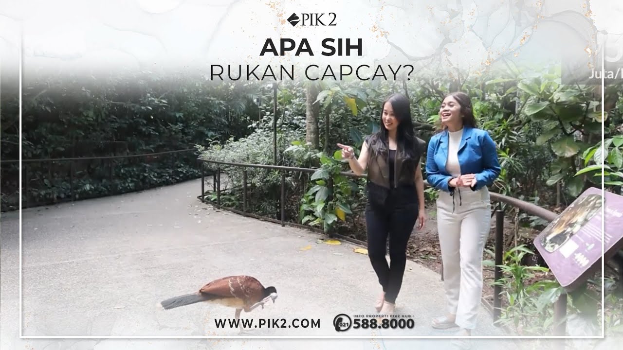 Apa sih rukan Capcay?