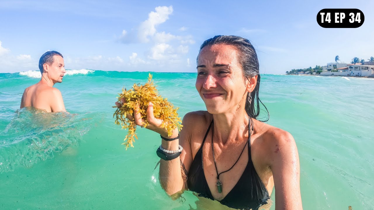 O CARIBE MEXICANO NÃO É COMO IMAGINAVA | Playa del Carmen