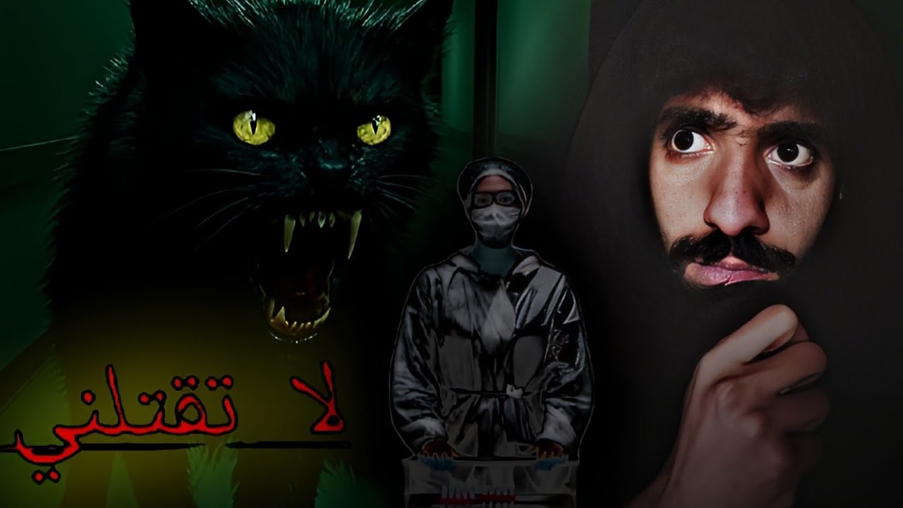 القط الذي تنبأ بموت أكثر من مئة شخص😱 مرعب 