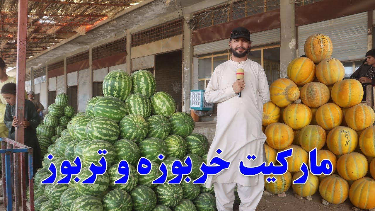 گزارش افغان مایک، خربوزه، تربوز، مارکیت علم خان، مارکیت میوه، لیلام، کابل، کندز، آقچه، فصل میوه