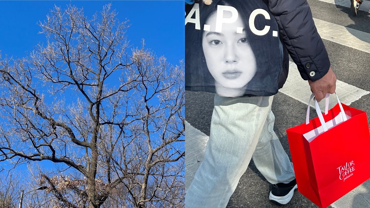 February Diary 어느 종로구민의 일상