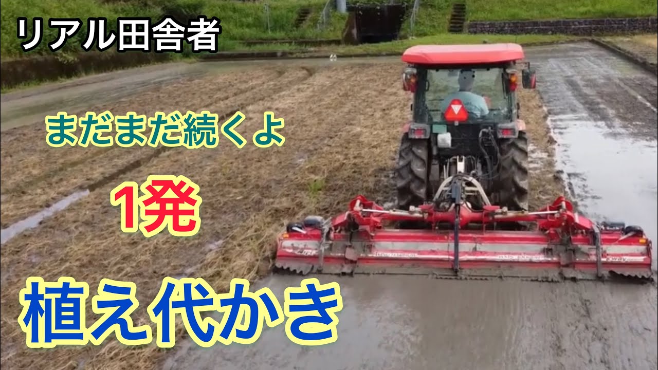 kubota SL55～2圃場目｜一発植え代｜にこまる（中生）ニプロ　WINGHRROW　WMS3800BR｜2021年版