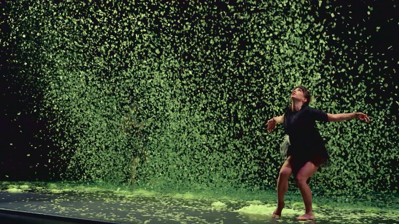 Fighting Climate Change with Dance | KQED Arts