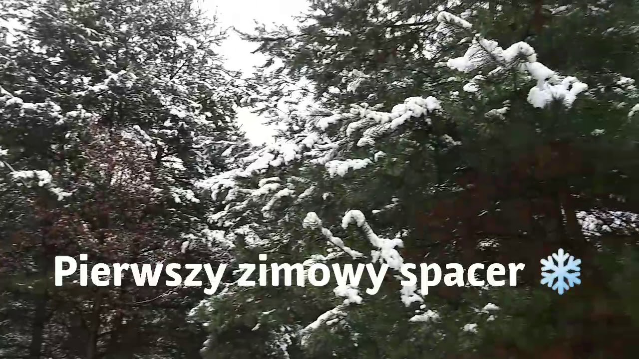 Pierwszy śnieg❄❄❄⛄ Źródełko dobre na wszystko👌