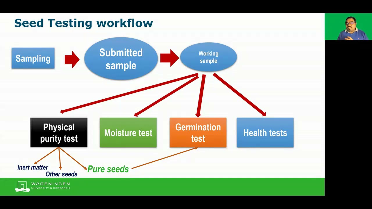 Advanced Seed Testing Procedures & Laboratory Protocols | ISTA Standards Guide