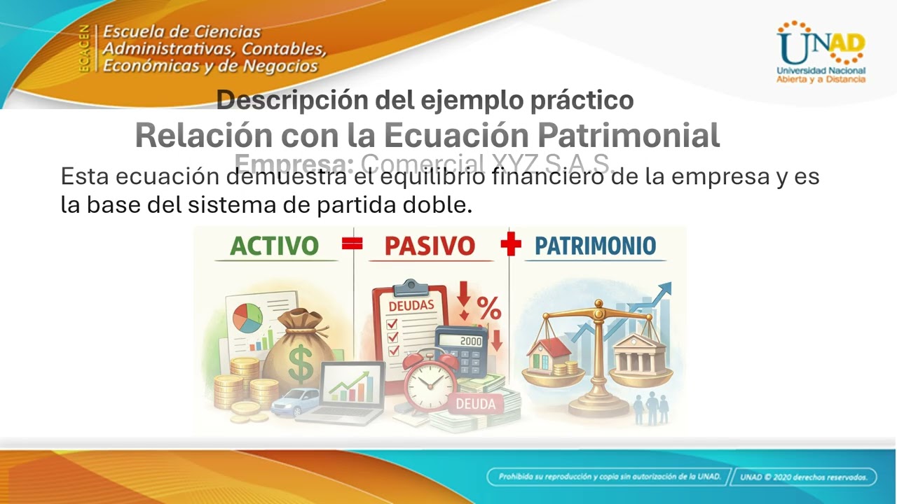 Revisor Fiscal   Activo, Pasivo y Patrimonio