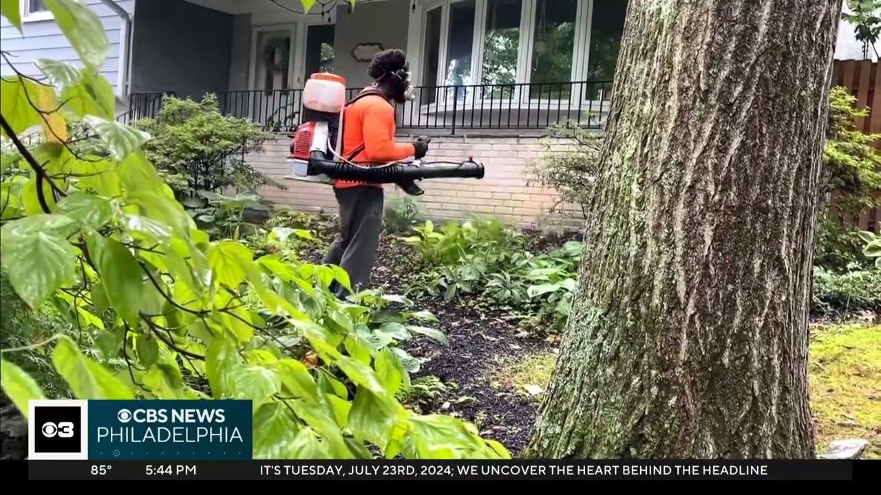 Rise in Lyme Disease Cases in Montgomery County, PA