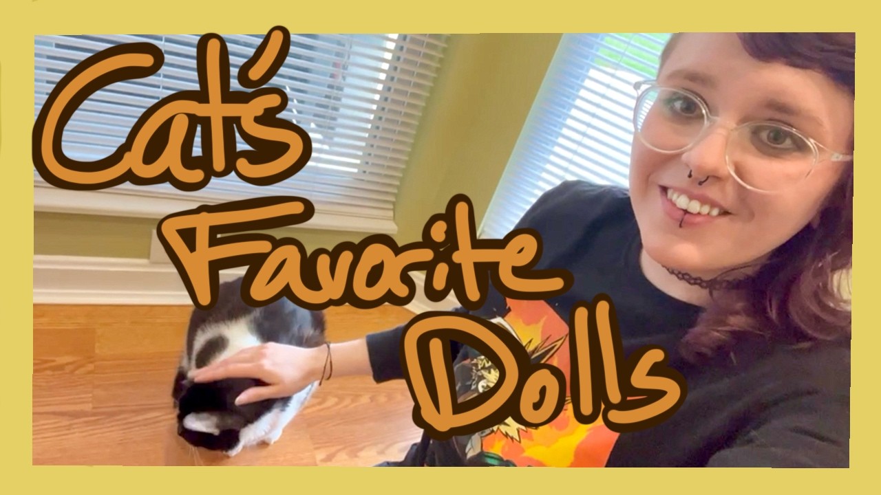 Which Doll Brand is the Best? (According to My Cats)