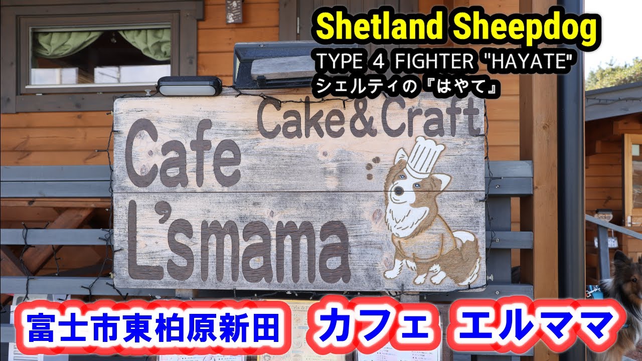 シェルティ はやて 120　カフェ エルママ　富士市東柏原新田
