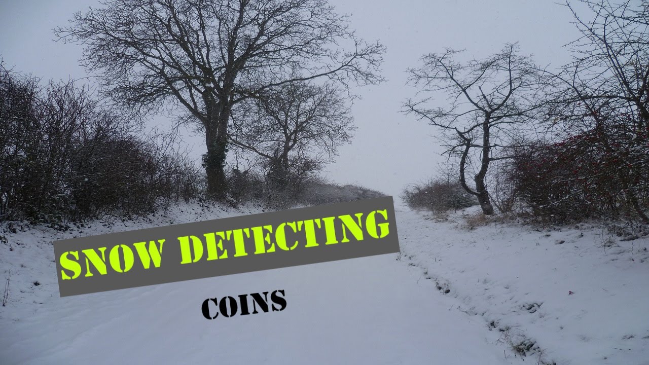 SNOW METAL DETECTING Sondeln Coins in the mud