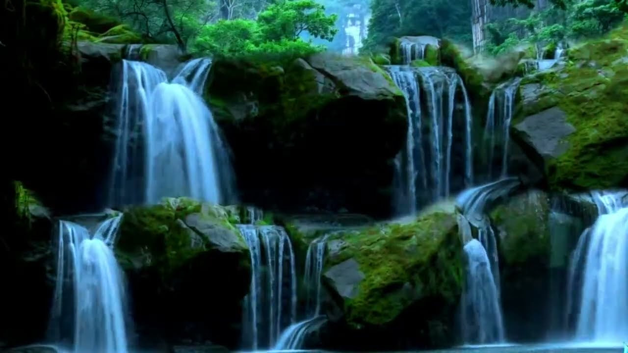 Peaceful Mind Melodies With Gentle Piano Harmony 🎹 | By Peaceful Mind Melodies