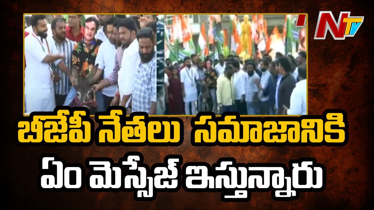 Congress MLA Seethakka Reacts On BJP Leader Father-Son Remark On Rahul Gandhi | Ntv