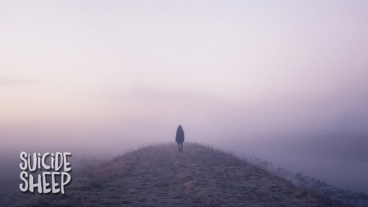 Julien Marchal - Insight XX