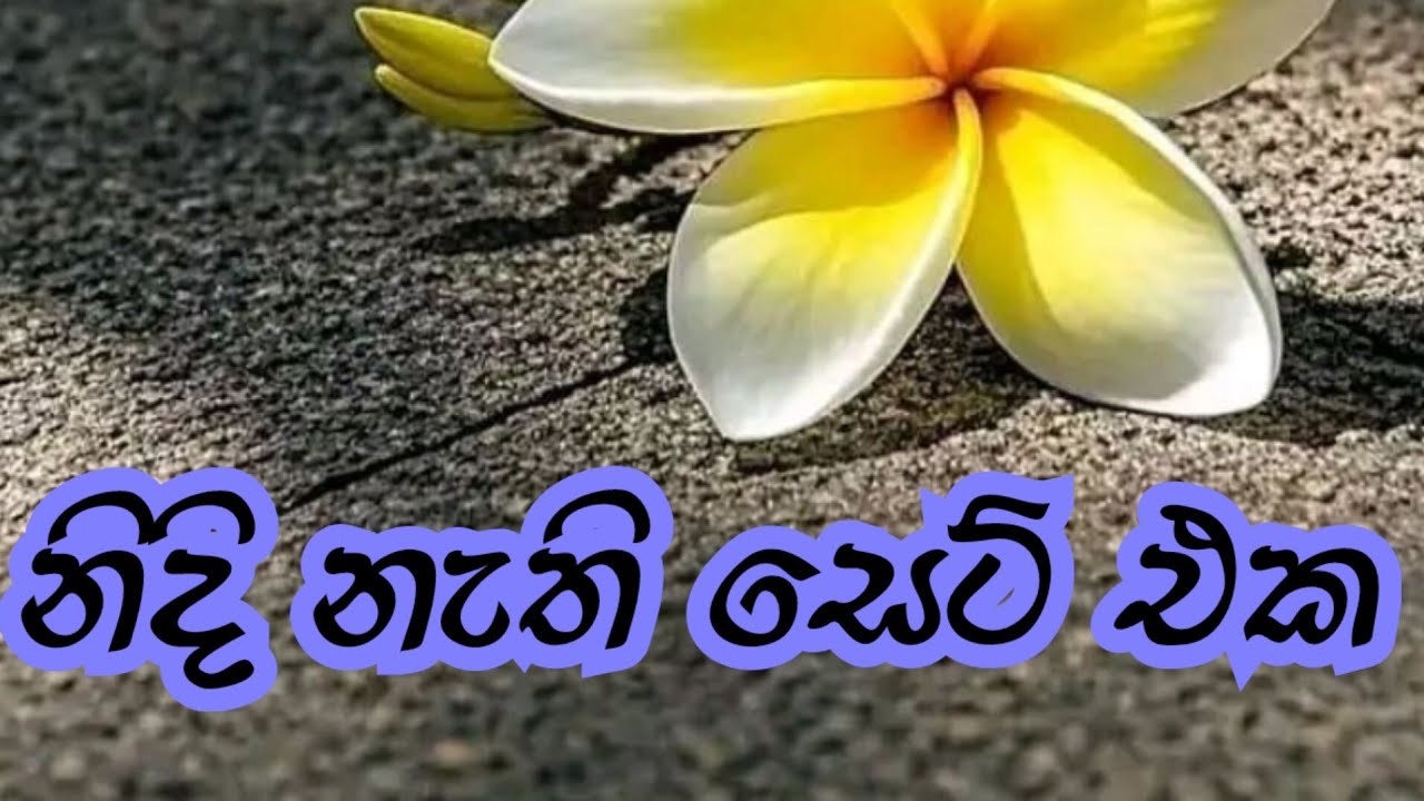 ගහප් අල්ලලා පොලේ මේ wifi රවුටරේ
