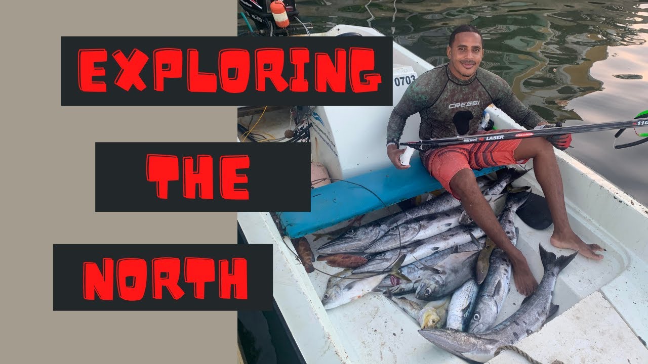 Spearfishing in the North of St. Lucia