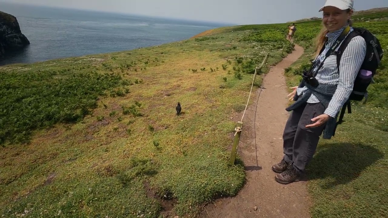 Slow Pans of Skomer Island