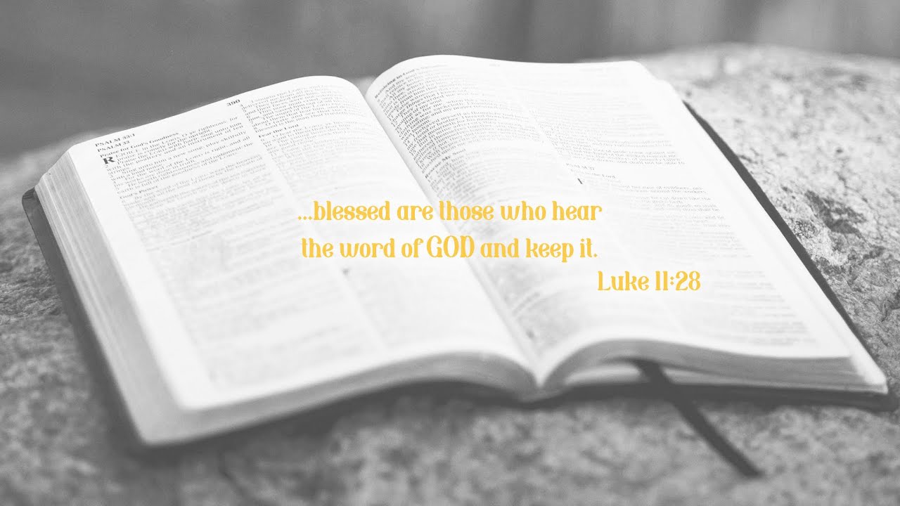 Day 27, Genesis 43-45, NKJV, Read along Bible verses, read daily, complete in 1 year