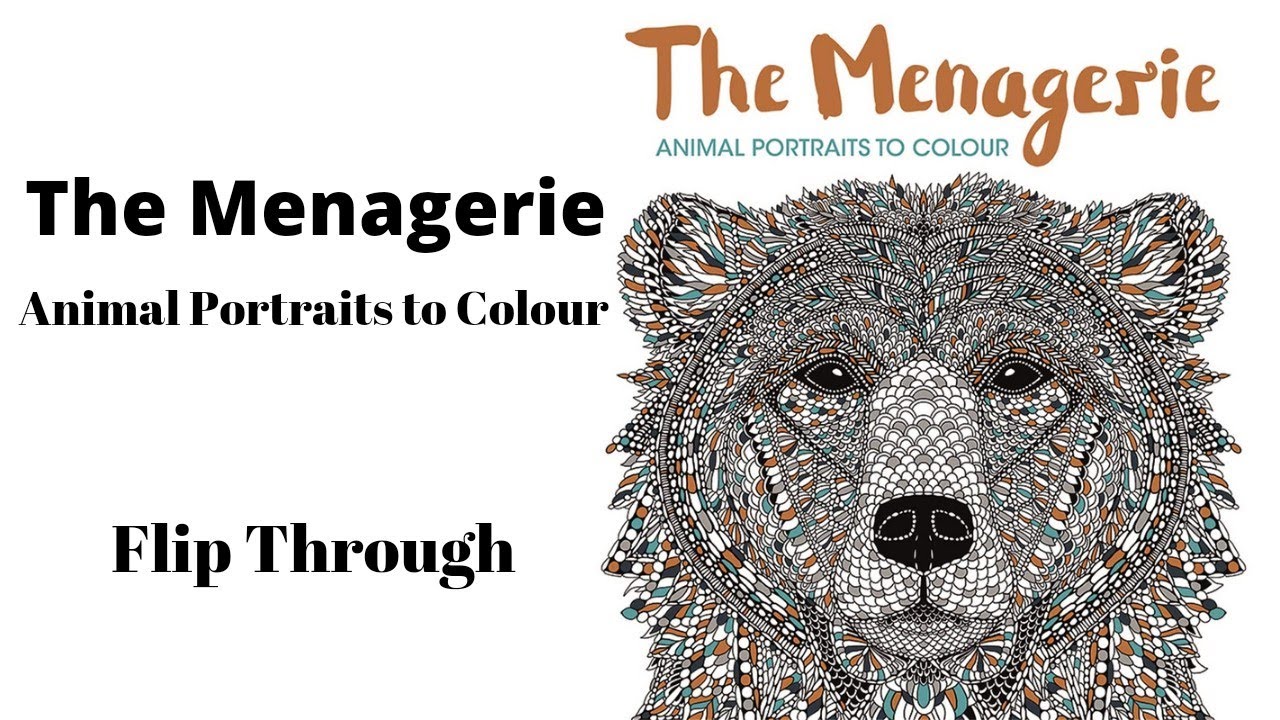 The Menagerie animal portraits to colour - flip through