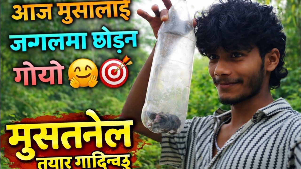 Support me guys 🥺 ✅ आज मुसालाई जंगलमा छोड्न गएँ 🤗🎯 | Real Life Vlog #trending #viral #youtube 