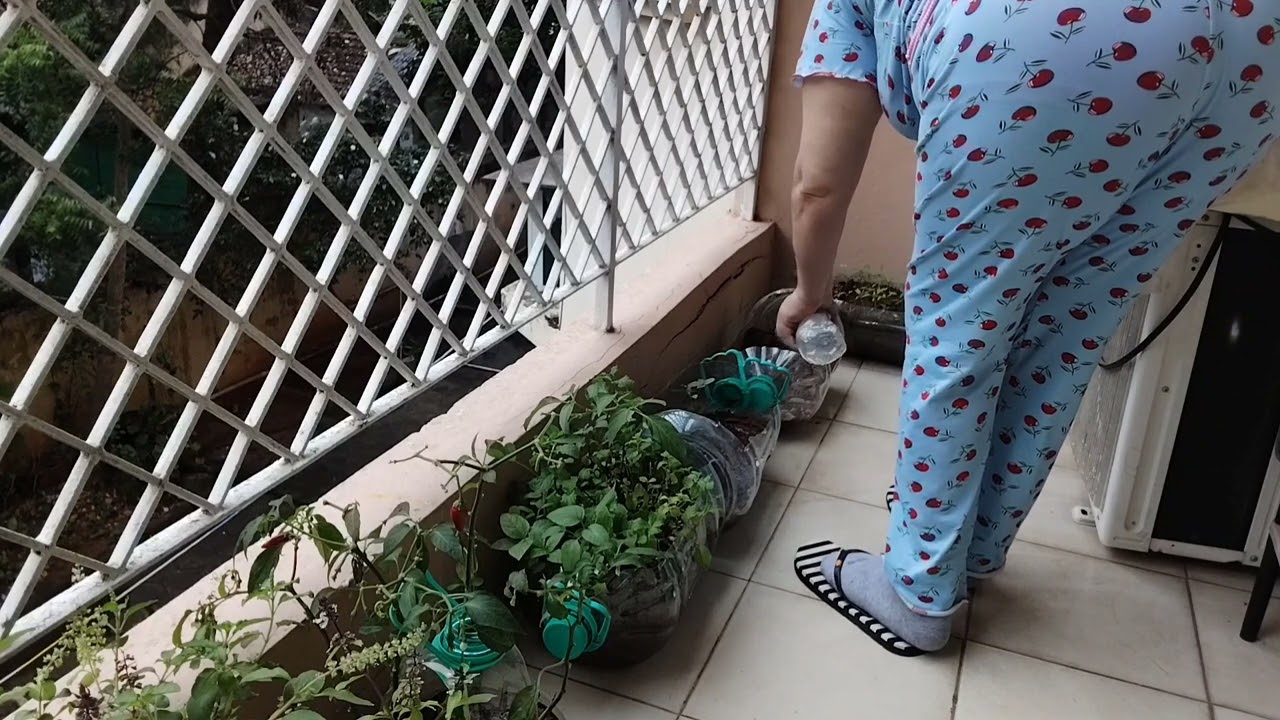 استرخاء وتأمل مع مناظر طبيعية مع أصوات العصافير🐦‍⬛🐤🐦 ياسلام