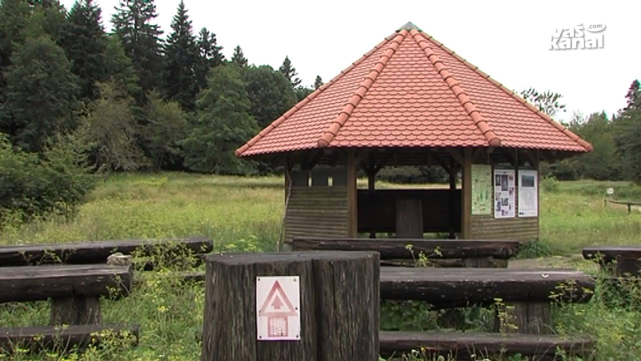 Žaga Rog