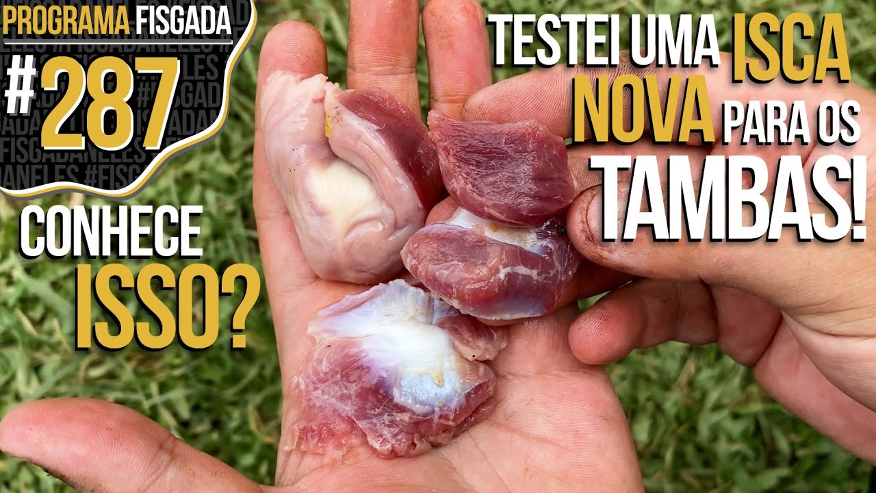 TESTEI UMA ISCA NOVA PARA OS TAMBAS.... CONHECE ISSO? (DICA)
