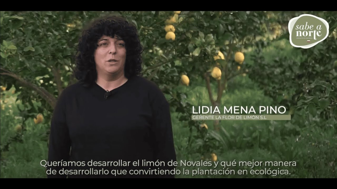 Limones ecológicos de Cantabria: La flor de limón
