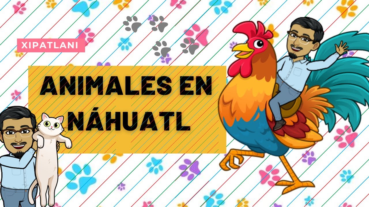 ANIMALES EN NÁHUATL| Palabras en náhuatl y español| Dilo en náhuatl con XIPATLANI