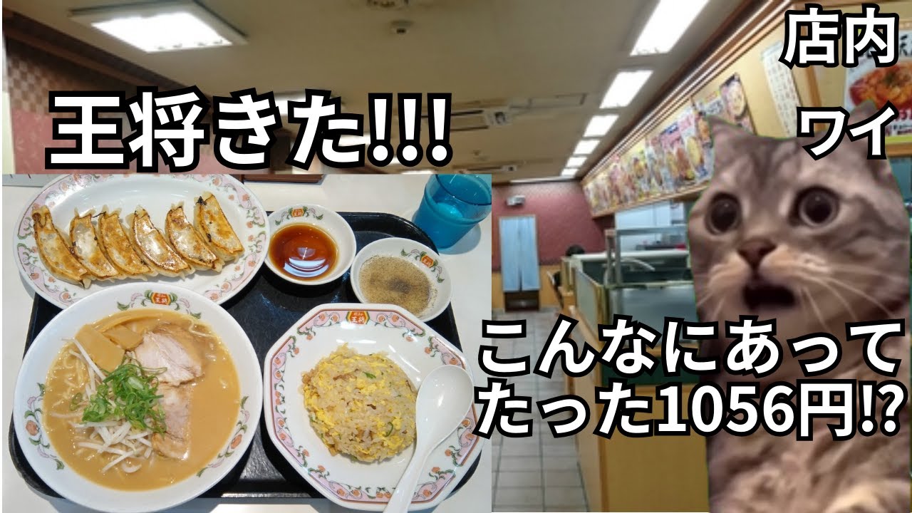 【猫ミーム】王将のド定番メニューと天津炒飯を爆食いした話＃猫マニ＃猫ミーム