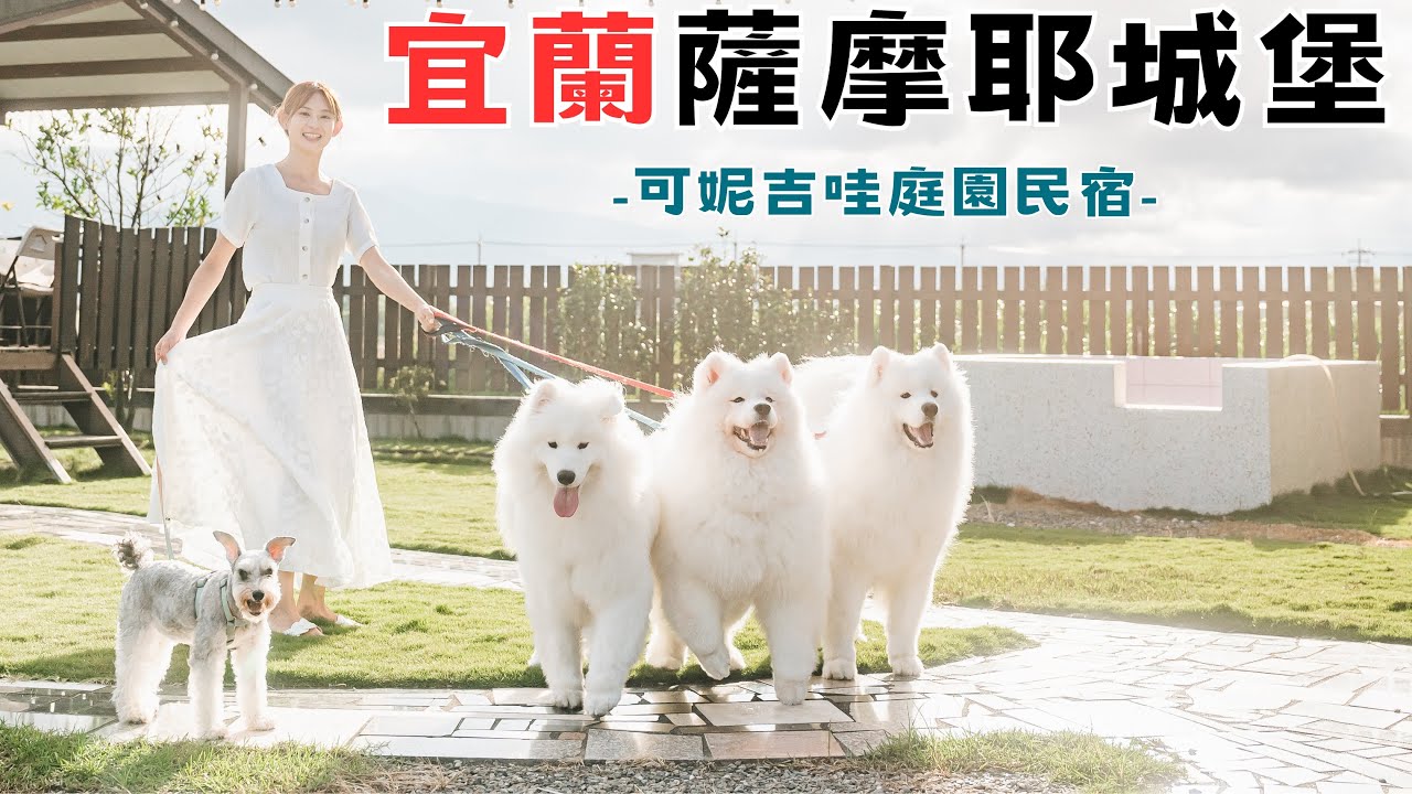 【宜蘭薩摩耶城堡】可妮吉哇寵物友善民宿、Olivia Bistro 老宅餐廳、阿水冰果室、梅花湖騎車環湖