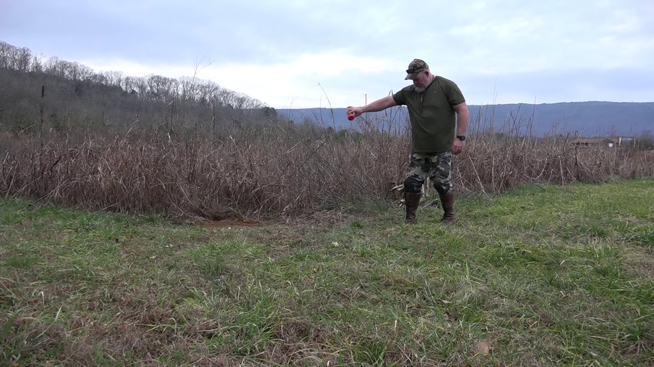 Coyote Stop lure, coyotes walking by your trapping sets? what to do