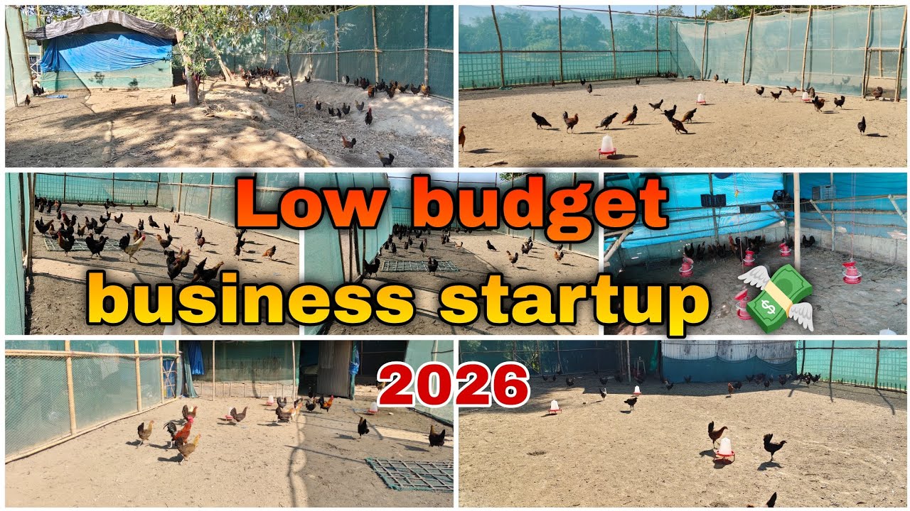 Low budget business startup at home 🏡 @vlog_with_akz 2026 business plan 