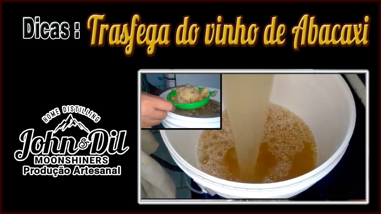 Como Fazer a trasfega do vinho de abacaxi.
