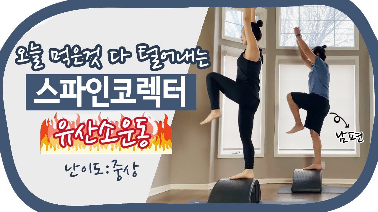 오늘먹은것 다 털어내는 스파인코렉터 유산소성 근력운동