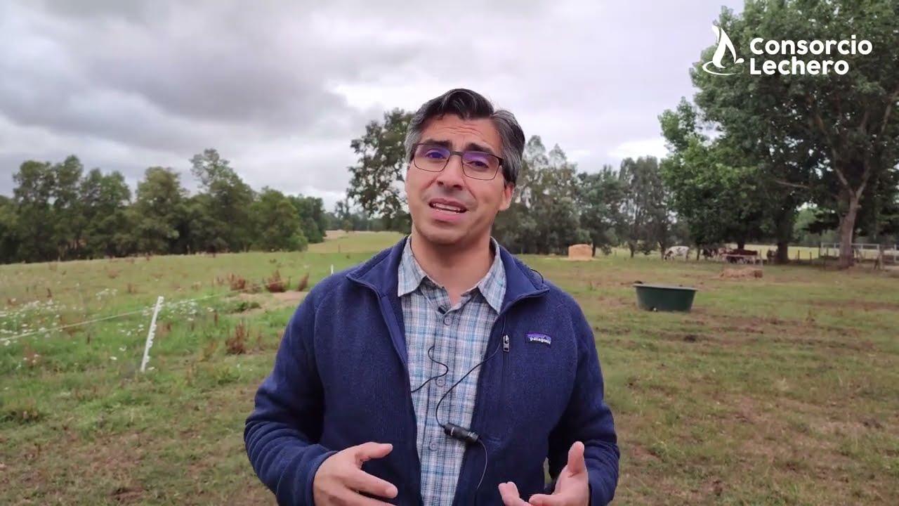 CMT: Tutorial Prueba de Mastitis California, Área Producción de Leche Consorcio Lechero.