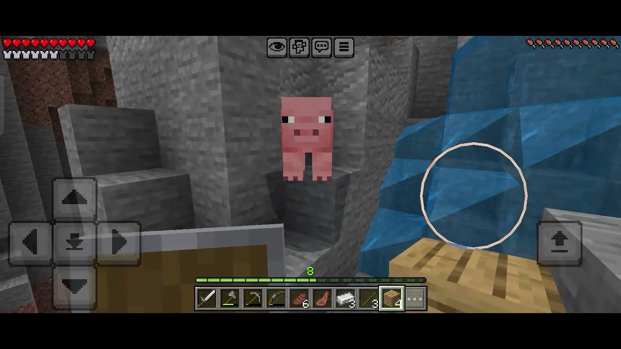 Video de supervivencia parte 2