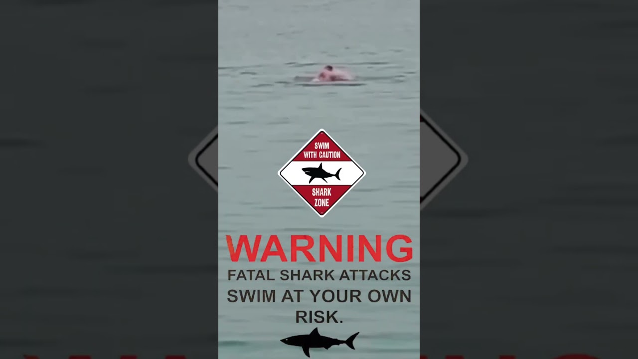 Great White Ambush: Jaw-Dropping Shark Attack Filmed Up Close!