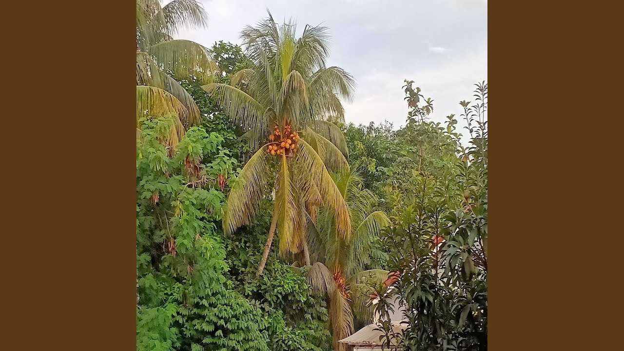 Ku Tidak Tahu Tujuanku