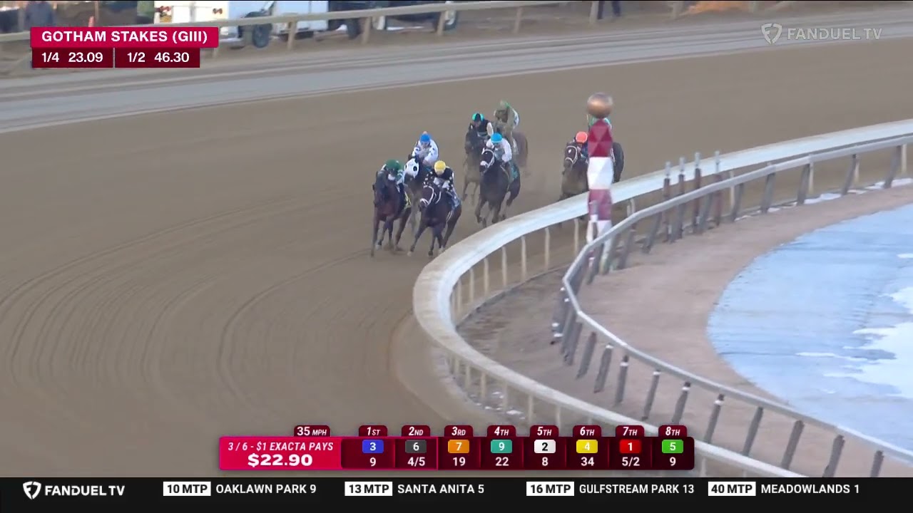 The 2026 300,000 Gotham Stakes Grade III