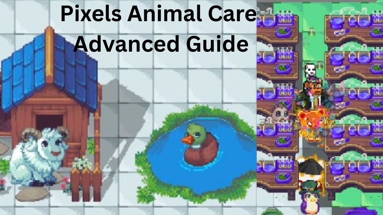 PIXELS︱Animal Care Explained IN DEPTH | Potion Crafting & Rare Baby Drops