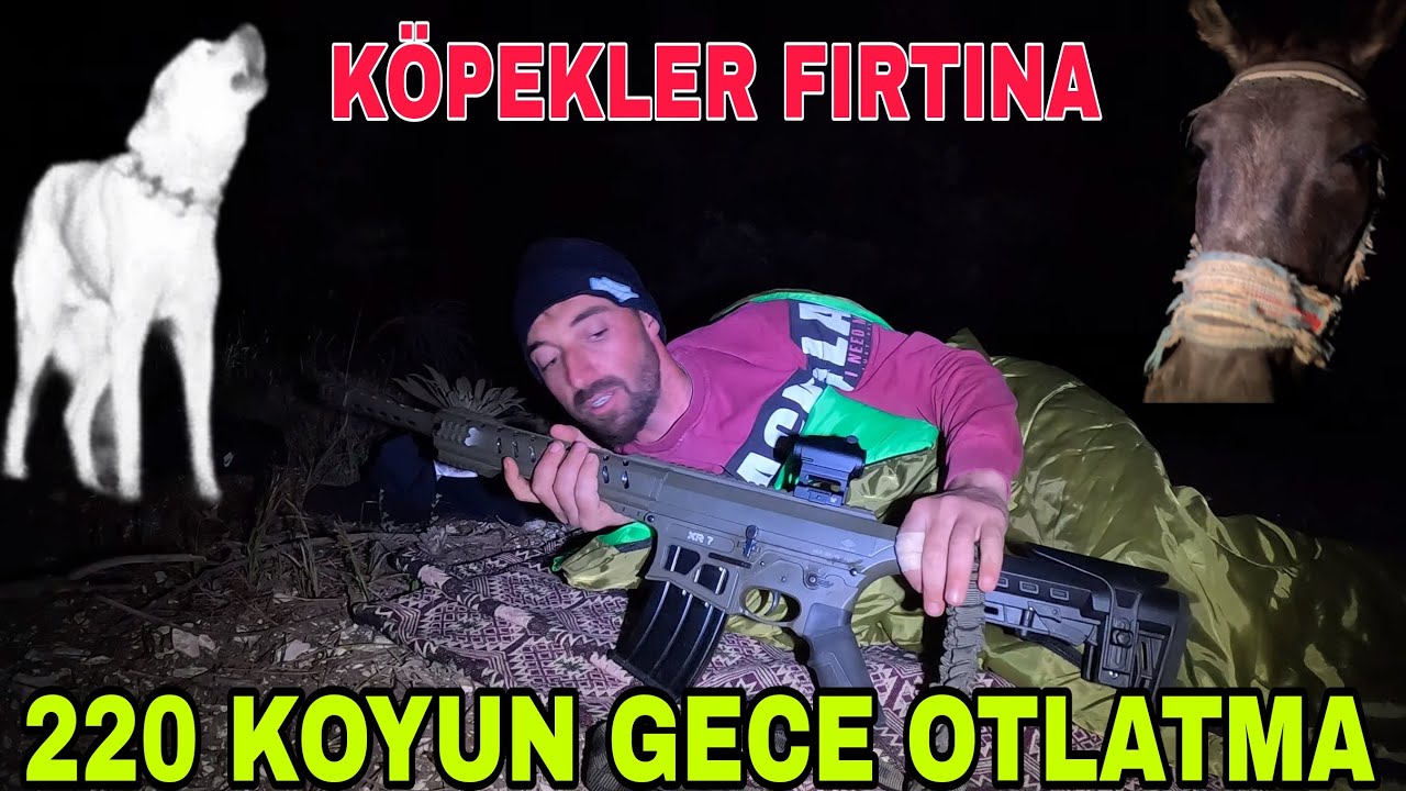 GECE MÜÇADELESİ~KIRA ÇIKTIK~GECE KÖPEKLERİN PERFORMANSI~EŞŞEK ANIRIRSA KURT GELİR