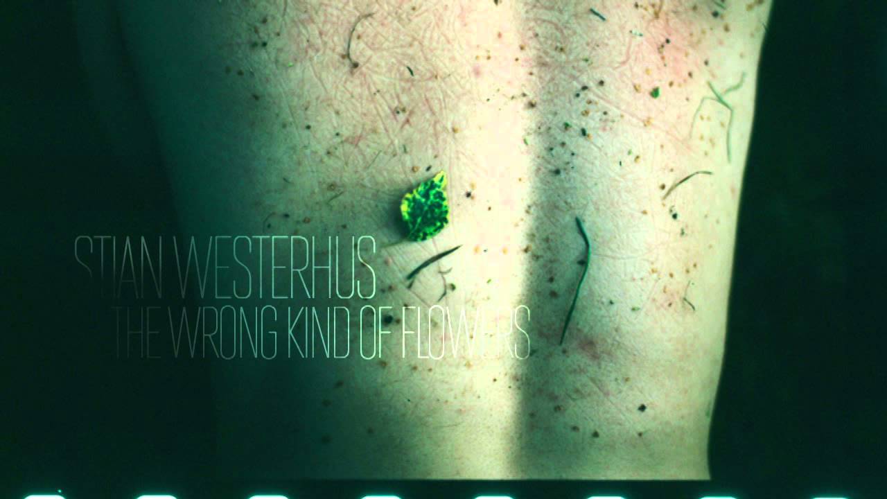 Stian Westerhus &mdash; The Wrong Kind of Flowers