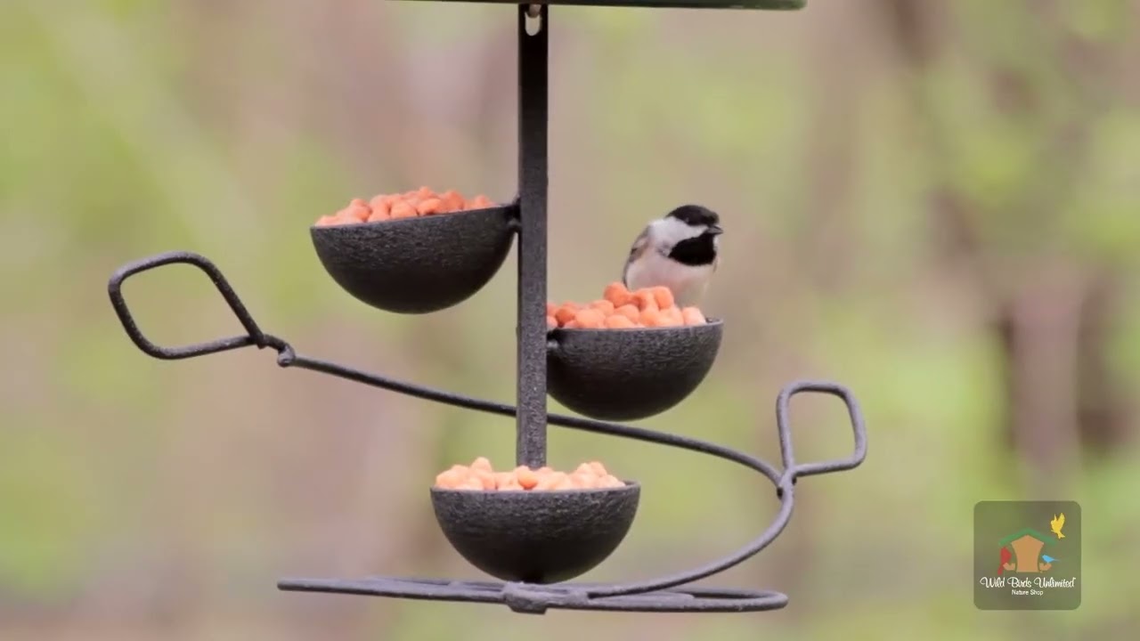 Hot Pepper Bird Foods: Deter squirrels and other unwanted critters at your bird feeders.