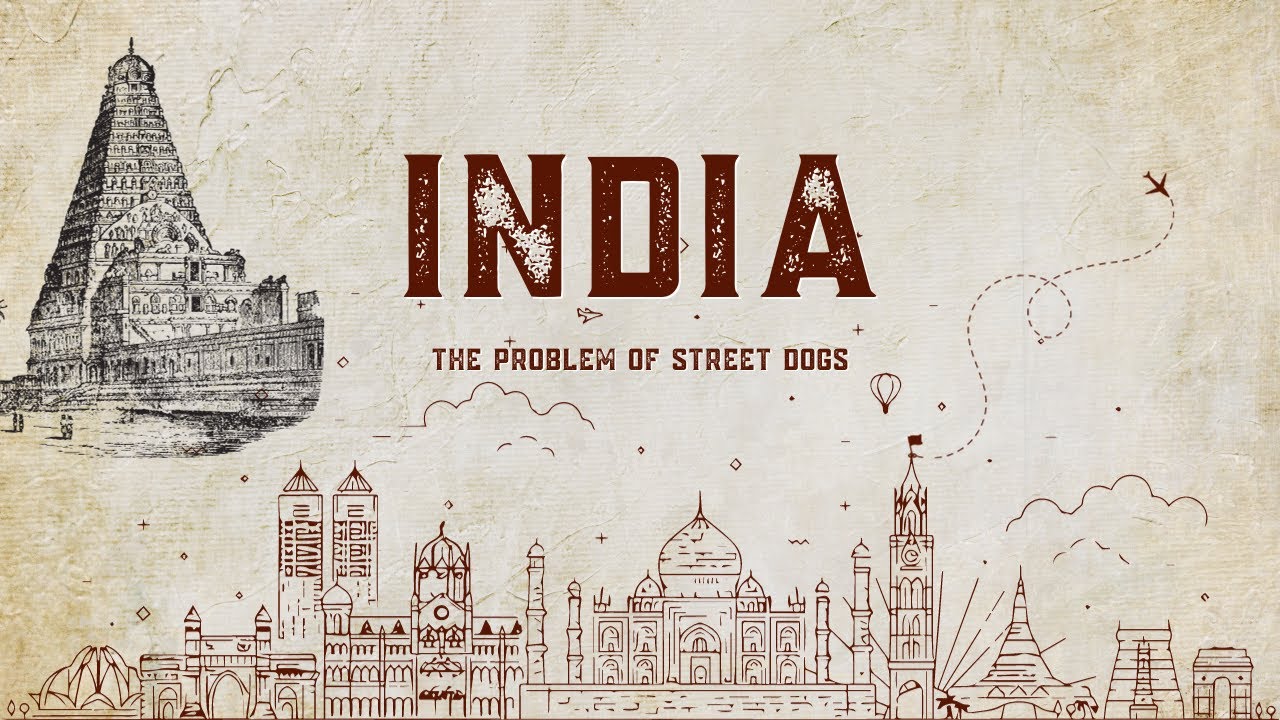 Harmony Unleashed: Navigating the Street Dog Challenge in India 🐾