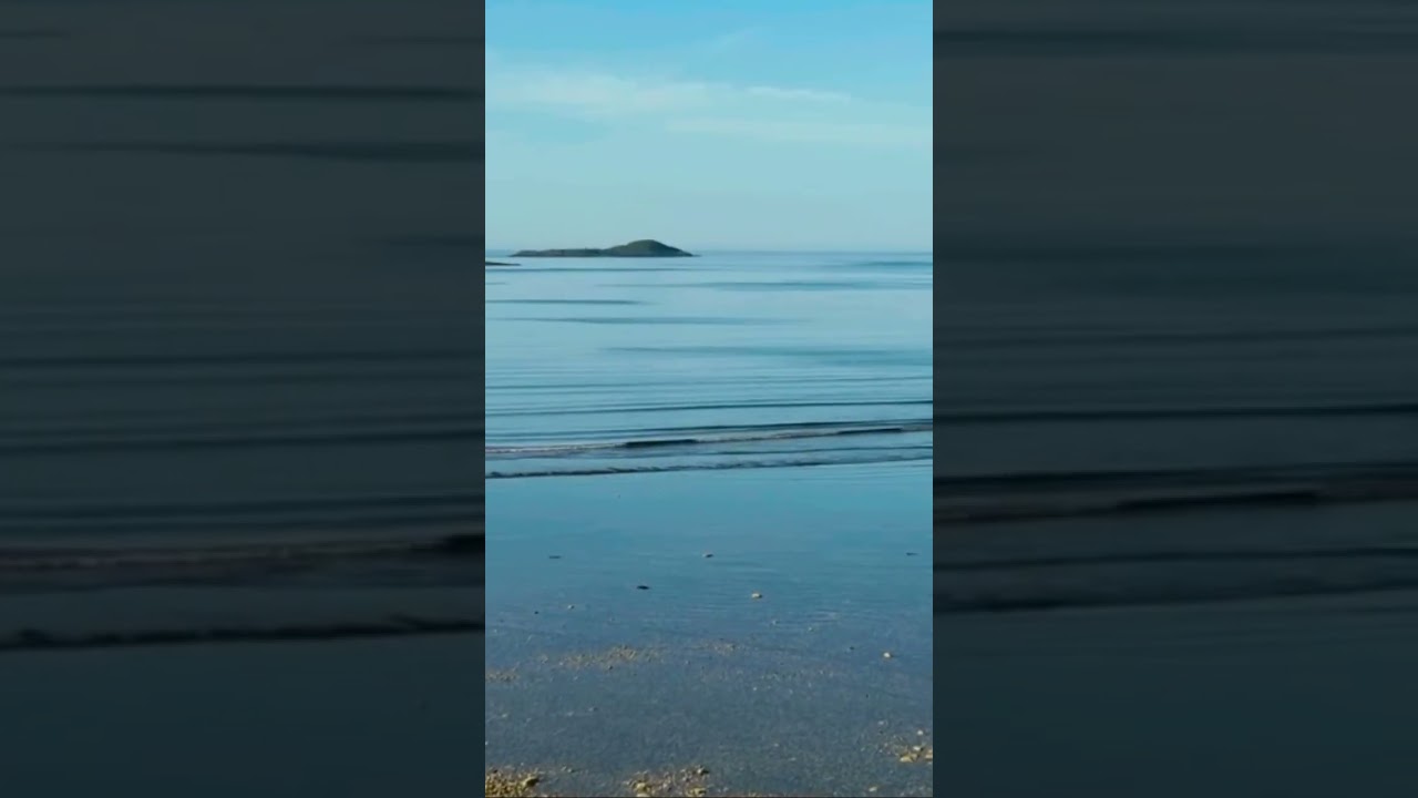 Unspoiled beauty in Machiasport&rsquo;s Starboard Community