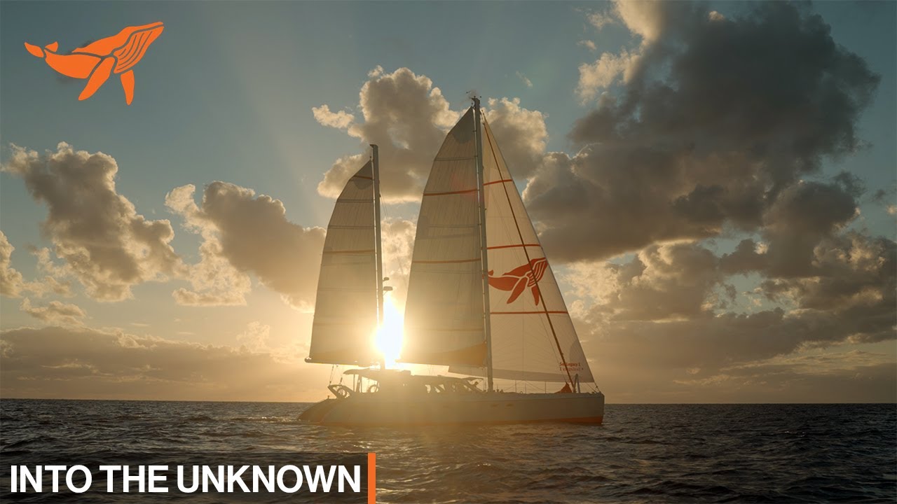 Into The Unknown | SeaLegacy: The Voyage