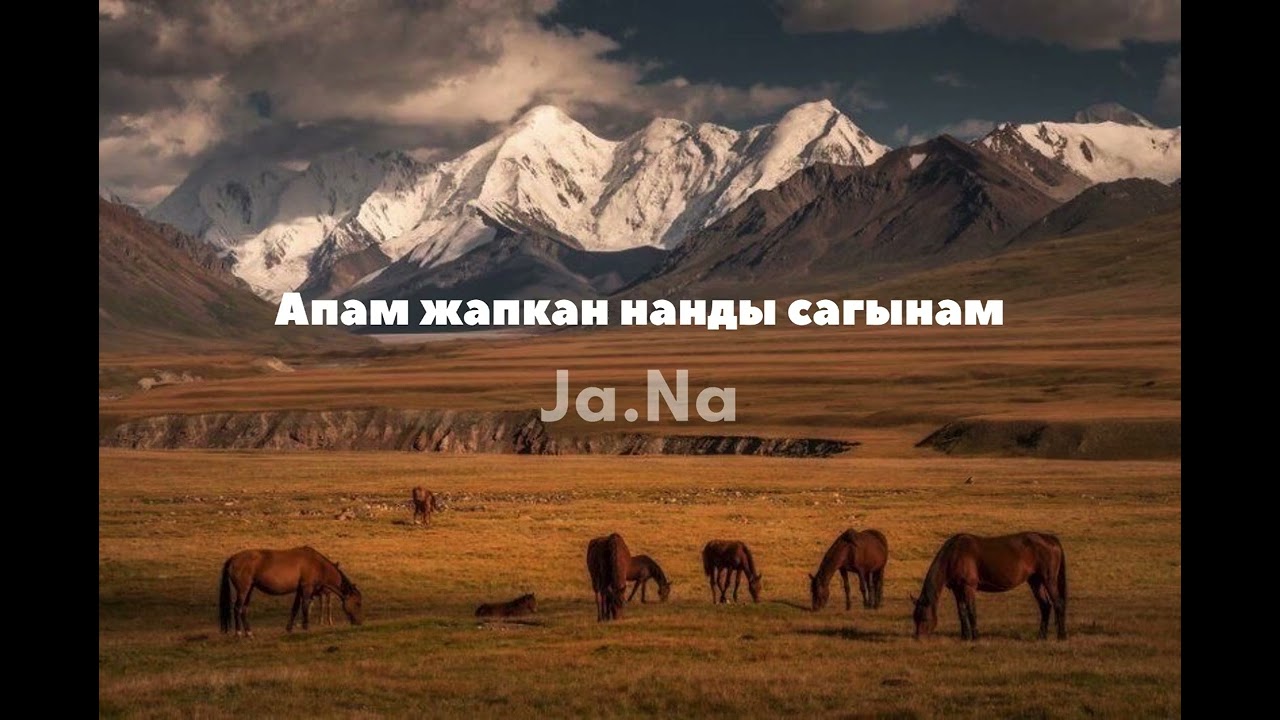 Апам жапкан нанды сагынам (Cover)-JaNa/ЖаНа/(Lyrics video)
