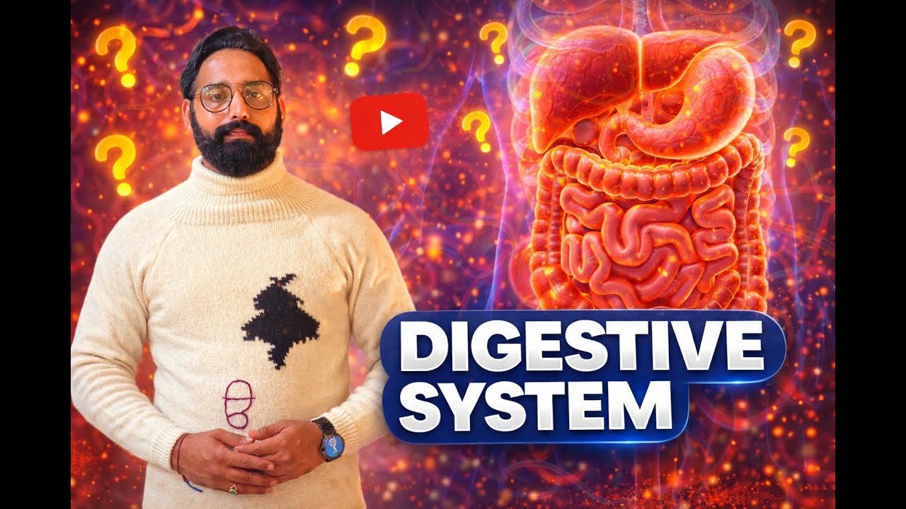 Digestive System || PSTET Physical Education || Hostel Suptd Cum PTI || DPE || NVS || KVS ||
