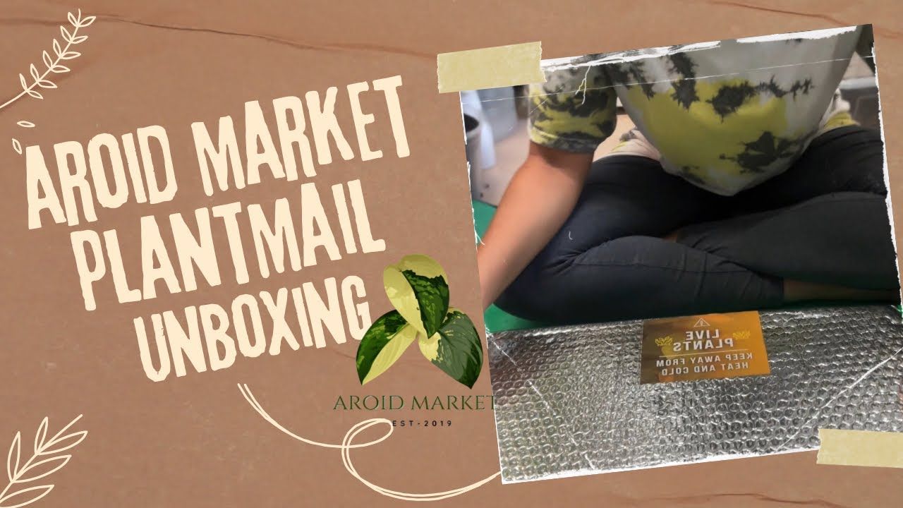 Aroid Market Unboxing! 🌿✨(Rare & Wishlist Plants!)