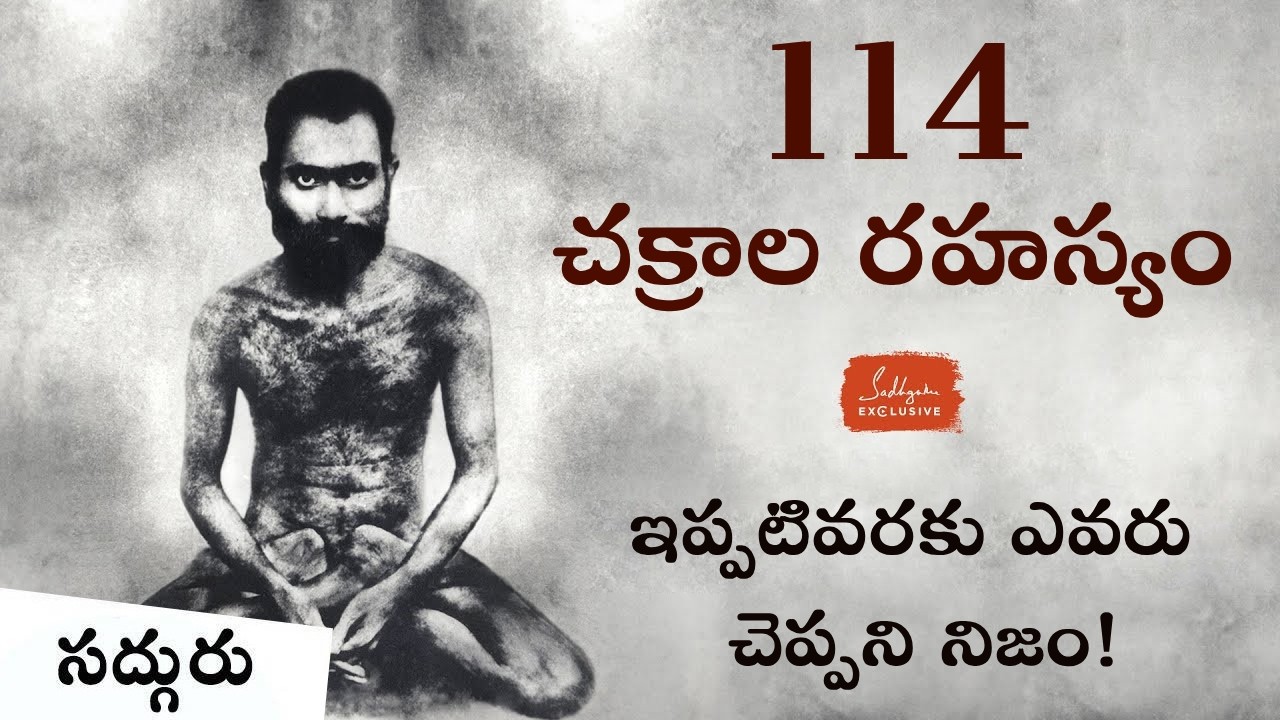 114 చక్రాలపైనా పట్టు సాధిస్తే ఏం జరుగుతుంది? What Happens When You Master All 114 Chakras?